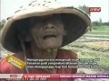Download Topik antv ratusan burung kuntul serbu areal sawah