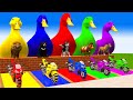 5 Giant Duck, Monkey, Piglet, chicken, dog, elephant, cow, Sheep, Transfiguration funny animal 2023