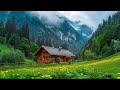 All your worries will disappear if you listen to this music🌿 relaxing music soothes nerves #2
