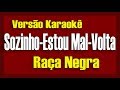 Raça Negra   SozinhoEstou MalVolta (DVD Raça Negra & Amigos 2) Karaokê