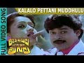 Kalalo Pettani Muddhulu Video Song | Attaku Yumudu Ammayiki Mogudu Movie | Chiranjeevi, Vijayasanthi