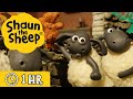 Shaun the Sheep 🐑 Full Episodes 🎹 Timmy's Play and Musical Sheep 📷 Cartoons for Kids