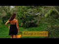 Farm Life in Greece | Olive Garden & fresh Olive Oil | Pure living for life