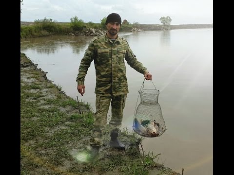 недна рыбалка недна рыбалка
