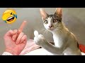 Try Not To Laugh 😅 Funniest Cats and Dogs 2023 😹🐶 Part 7