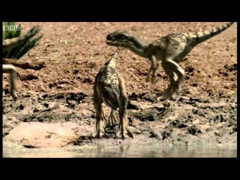Walking With Dinosaurs 1080p Video