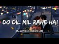 Do Dil Mil Rahe Hai [Slowed + Reverb] - Raj Barman | Aise Bhole Bankar Hai Baithe Slow Version Song