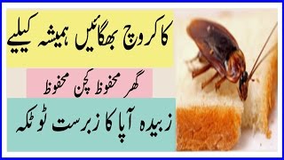 cockroach bhagaen hmesha k liye zubaida apa