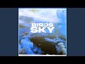 Birds In The Sky (Mazza_l20 Remix)