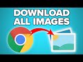 How to Scrape and Download Images from any Website