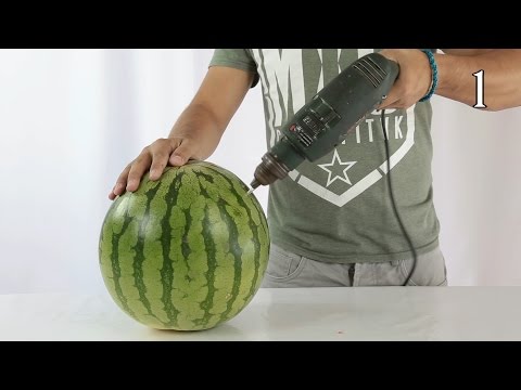 Top 10 Science Experiments - Experiments You Can Do at Home Compilation