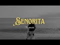 Senorita (Slowed and reverb)