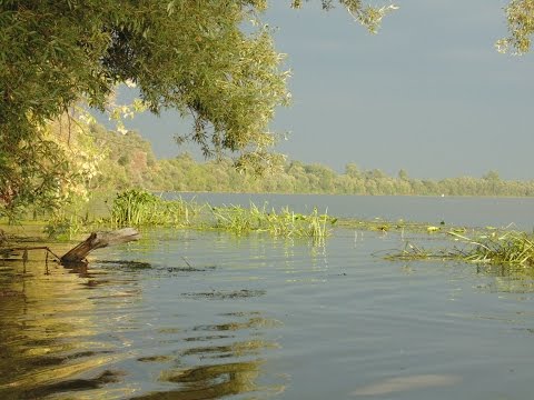 ловля на оке в луховицах ловля на оке в луховицах