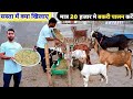 कम खर्च में बकरी पालन कैसे करें | small goat shed design | bamboo goat farm shed