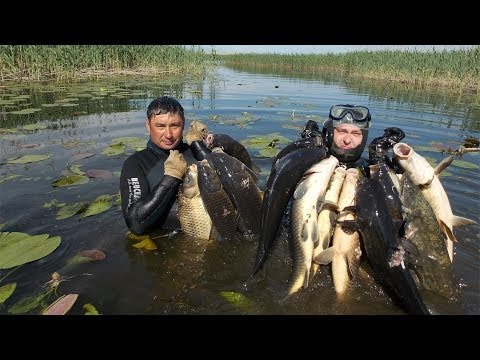 охота на сома с ружьем ночью видео охота на сома с ружьем ночью видео