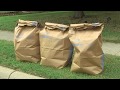 How to Get Rid of Yard Waste in Fort Worth