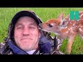 Download Man Saves Abandoned Baby Deer mp4 3gp mp3 videos - waplic