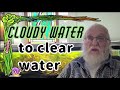 Unbelievable! Father Fish Transforms Cloudy Water to Crystal Clear Water - Amazing Transformation!