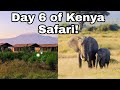 Day 6 Kenya Safari - Ambesoli Park and Nairobi Kenya - Tips for photos and the Big 5 of Africa