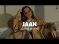 JAAN (slowed+reverb) - Prm Nagra | New Punjabi Song 2024 - Zee Zee Music