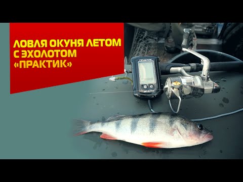 что можно искать эхолот что не возбраняется разыскивать эхолот
