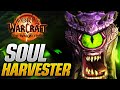 SOUL HARVESTER Warlock Hero Talents Are Here! Initial Thoughts and Impressions