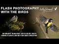 "Unlock the Secrets to Taking Stunning Bird Photos With Flash!"