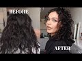 MY CURLY HAIR JOURNEY (w/pictures & big chop footage) | Layanne