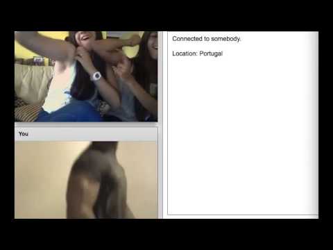 Zyzz Chatroulette Girls Only Playithub Largest Videos Hub Zyzz Chatroulette Girls Only Playithub Largest Videos Hub