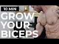 GROW YOUR BICEPS! 10 Min [PERFECT] Bicep Workout with Dumbbells