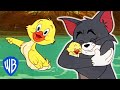 Tom & Jerry em Português | Brasil | O melhor de Patinho | WB Kids