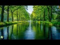 Calming music for nerves 🌿 healing music for the heart and blood vessels, relaxation