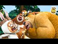 Boonie Bears 🐻🐻 Crunch it, Chewie! 🏆 FUNNY BEAR CARTOON 🏆 Full Episode in HD