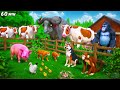 Hungry Animals Food Feast Adventure | Cow Pig Cat Monkey Dog Animal Kingdom Fights Movie Compilation