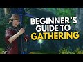 Beginner's Guide to Gathering (Botanist/Miner) in FFXIV