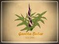Gantha Bubar I Koloma I (official Lyrical Video)