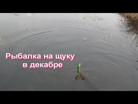 рыбалка на веле загорские дали щука рыбалка на веле загорские дали щука