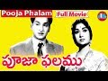 Pooja Phalam Telugu Full Movie | ANR | Savitri | Jamuna | S Rajeswara Rao @skyvideostelugu