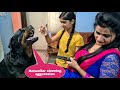 Anshu and Sapna are teasing my dog||funny dog videos.