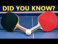 Things You Didn't Know About Table Tennis