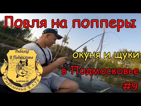 ловля окуня на платниках в подмосковье ловля окуня на платниках в подмосковье