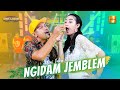 Yeni Inka ft Brodin New Pallapa - Ngidam Jemblem (Official Live Music)