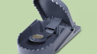 Электронная автоматизированная крысоловка своими руками Электронная автоматизированная крысоловка своими руками