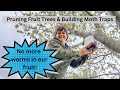 Preventing Wormy Fruit! Pruning Fruit Trees!!