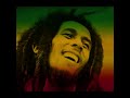 Bob Marley - Could You Be Loved DJCiaps RMX Tech House