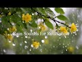 Ambient Sounds for Relaxation |  Ambient Music and Rain Sounds for Stress Relief and Relaxation 🌧️
