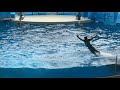 【リニューアルオープン：再開】新江ノ島水族館 えのすい イルカショー"Wave ～きみの波になりたい～"※2024.04.20 14:45/Enoshima Aquarium Dolphin Show
