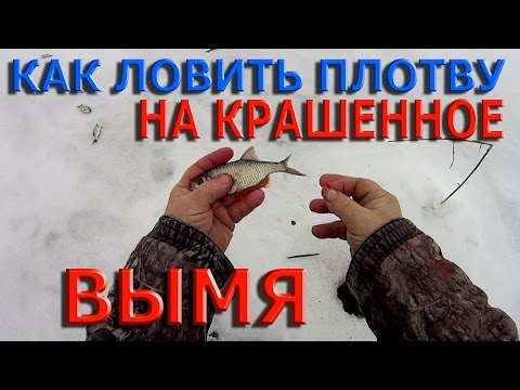 как ловить сайт как ловить сайт