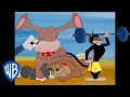 Tom & Jerry | Cats V.S. Dogs | Classic Cartoon Compilation | @wbkids​