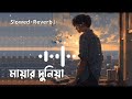 Mayar Duniya | মায়ার দুনিয়া | Tanzil Misbah | Slowed & Reverb | Bangla Song 2024